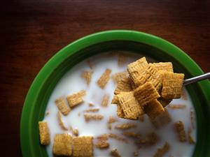 cereal in a bowl with milk